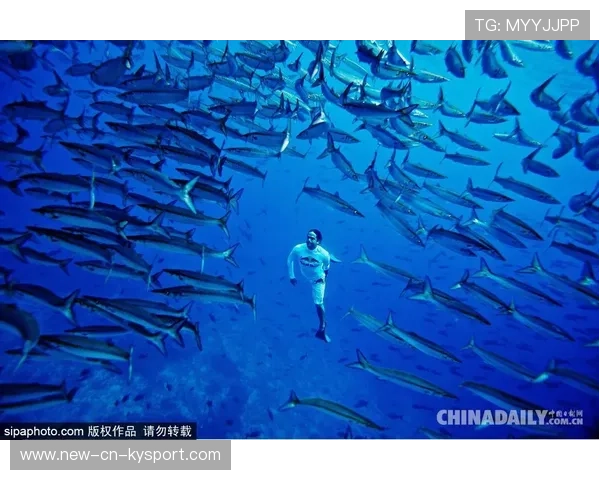 _极限潜水探险:探索深海的秘密_,极限潜水时间记录 _极限潜水探险:探索深海的秘密_,极限潜水时间记录